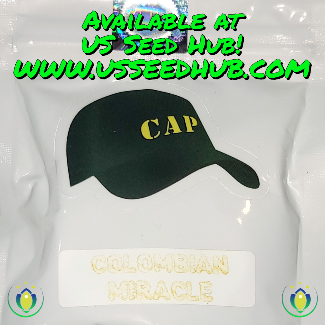 COLOMBIAN MIRACLE BY CAPULATOR *LIMITED VAULT RELEASE* - Image 2