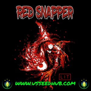 RED SNAPPER BY LIT FARMS