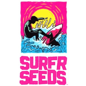 Surfr Seeds, surfr seeds website, surfrseeds.surf, surfr seeds point break