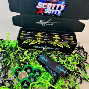 EXOTIC GENETIX SCOTTY 2 HOTTY SIGNATURE BOX FEMS