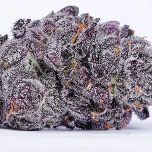 lit farms lemon cherry pie feminized seeds