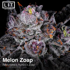 lit farms melon zoap fem seeds melonatta x runtz x zoap