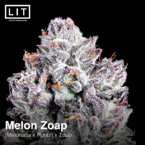 lit farms melon zoap fem seeds melonatta x runtz x zoap