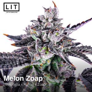 lit farms melon zoap fem seeds melonatta x runtz x zoap