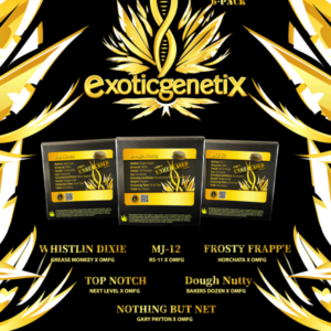 EXOTIC GENETIX OMFG UNRELEASED LIMITED EDITION SIX PACK BOX FEMS