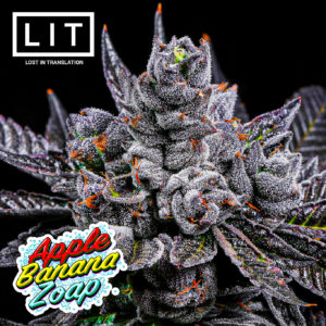 apple banana zoap fem seeds lit farms