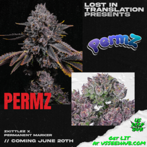 zkittlez x permanent marker, lit farms rs-11, permanent marker, permz strain seeds, white iverson strain seeds, rainbow soap strain feminized seeds, rainbow candy strain feminized seeds, lemon cherry sherbert strain feminized seeds, gas light strain feminized seeds, half pack and full packs. us seed hub. top cannabis seed banks that ship in the us