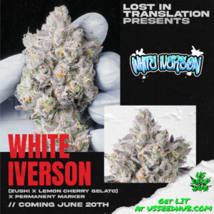 lZushi x lemon cherry gelato x permanent marker it farms rs-11, permanent marker, permz strain seeds, white iverson strain seeds, rainbow soap strain feminized seeds, rainbow candy strain feminized seeds, lemon cherry sherbert strain feminized seeds, gas light strain feminized seeds, half pack and full packs. us seed hub. top cannabis seed banks that ship in the us