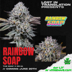 the soap x rs-11 lit farms rs-11, permanent marker, permz strain seeds, white iverson strain seeds, rainbow soap strain feminized seeds, rainbow candy strain feminized seeds, lemon cherry sherbert strain feminized seeds, gas light strain feminized seeds, half pack and full packs. us seed hub. top cannabis seed banks that ship in the us