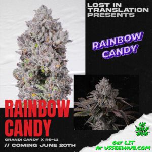 grandi candi x rs-11lit farms rs-11, permanent marker, permz strain seeds, white iverson strain seeds, rainbow soap strain feminized seeds, rainbow candy strain feminized seeds, lemon cherry sherbert strain feminized seeds, gas light strain feminized seeds, half pack and full packs. us seed hub. top cannabis seed banks that ship in the us