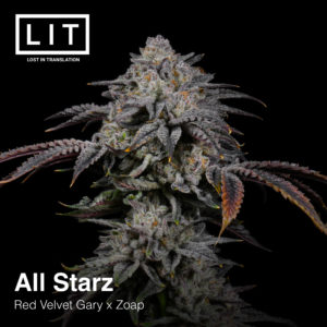 ALL STARZ FULL PACK BY LIT FARMS *Includes Freebie Pack*