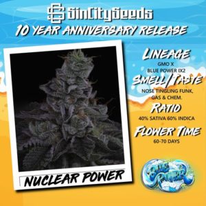NUCLEAR POWER BY SIN CITY SEEDS *Includes Freebie Pack*