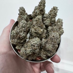 sigma series part 2 drizzle beach (drip station x bahama berry) trufflez and cream (trap trufflez x milk & cookies) fem seeds