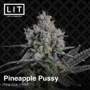 PINEAPPLE PUSSY HALF PACK BY LIT FARMS *Includes Freebie Pack*