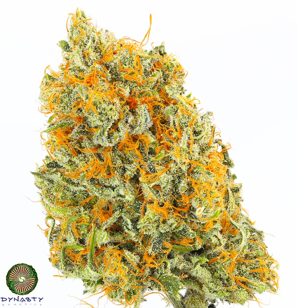 SOUR PEACH CHEESECAKE BY DYNASTY/RELIC SEEDS