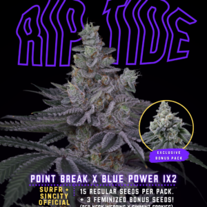 RIP TIDE BY SIN CITY SEEDS & SURF SEEDS *Includes Freebie Pack*