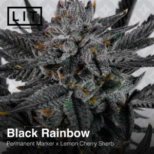 BLACK RAINBOW BY LIT FARMS *Includes Freebie Pack*