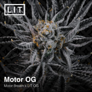 MOTOR OG BY LIT FARMS *Includes Bonus Pack*