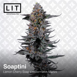 SOAPTINI BY LIT FARMS *Includes Bonus Pack*
