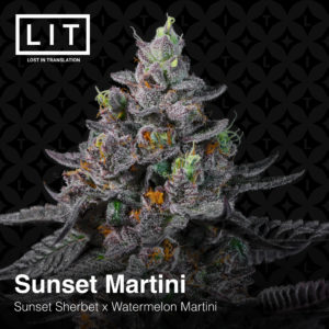 SUNSET MARTINI BY LIT FARMS *Includes Bonus Pack*
