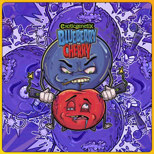 EXOTIC GENETIX BLUEBERRY CHERRY - Image 3
