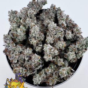 exotic genetix papaya bang bang seeds for sale