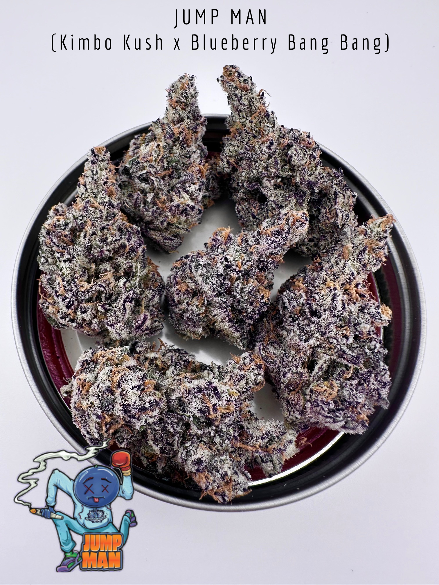 exotic genetix jump man seeds for sale