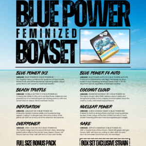 blue power box set fem sin city seeds