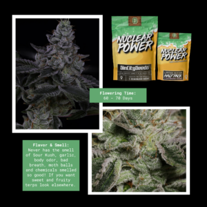 sin city seeds nuclear power fem seeds