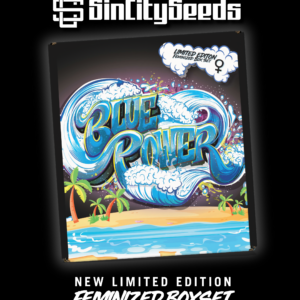 blue power box set fem sin city seeds