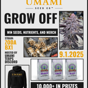 UMAMI SEED CO ZODA BX1