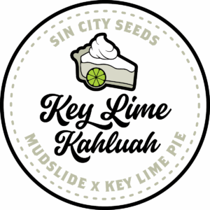 sin city seeds key lime kahluah feminized seeds