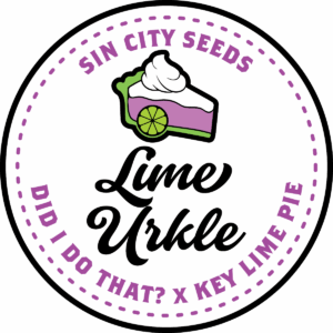 sin city seeds lime urkle feminized seeds