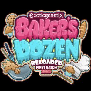 Exotic Genetix Baker's Dozen Fem Seeds