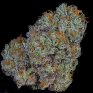 dynasty genetics salmon river og v2 us seed hub