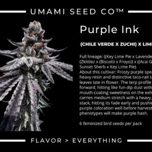 umami seed purple ink (chile verda x zuchi) x limecai us seed hub