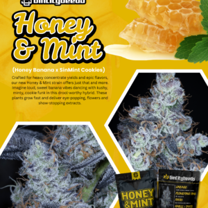 HONEY & MINT BY SIN CITY SEEDS *Includes Bonus Pack*