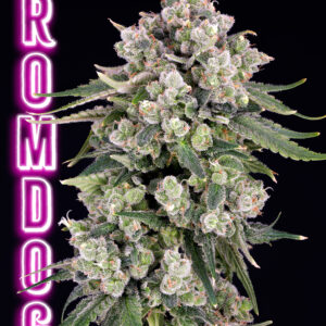 romulan genetics Romdog seeds