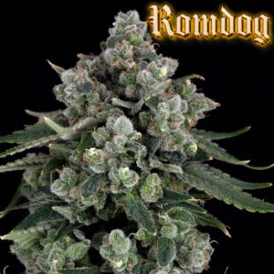 romulan genetics Romdog seeds