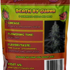 sin city seeds death by guava fem seeds, bloom seed co death by guava fem seeds, sin city seeds and bloom seed co collaboration death by guava fem seeds
