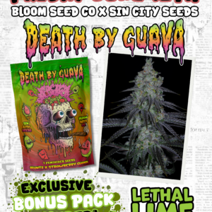 sin city seeds death by guava fem seeds, bloom seed co death by guava fem seeds, sin city seeds and bloom seed co collaboration death by guava fem seeds
