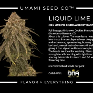 umami seed co & DNA Genetics liquid lime fem seeds