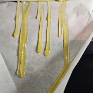 umami seed co & DNA Genetics liquid lime fem seeds