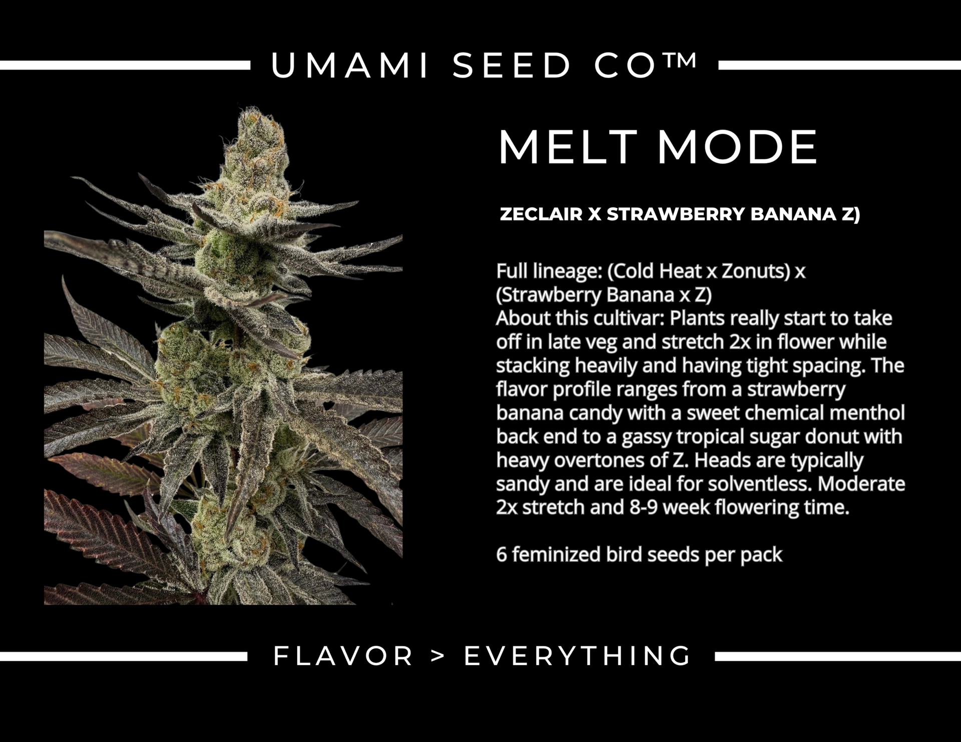 umami seed co & DNA Genetics melt mode fem seeds