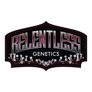 relentless genetics seeds