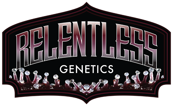 Relentless Genetics Cherry Cookies, Rozay, Trop Cherry, Queen of the South, Frozay, # 1 Stunna
