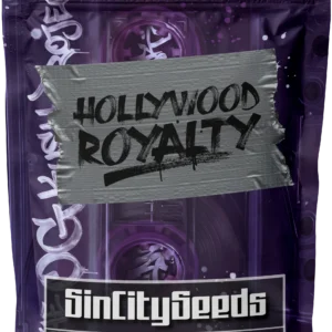 HOLLYWOOD ROYALTY BY SIN CITY SEEDS *bonus pack included*