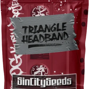 TRIANGLE HEADBAND BY SIN CITY SEEDS *bonus pack included*
